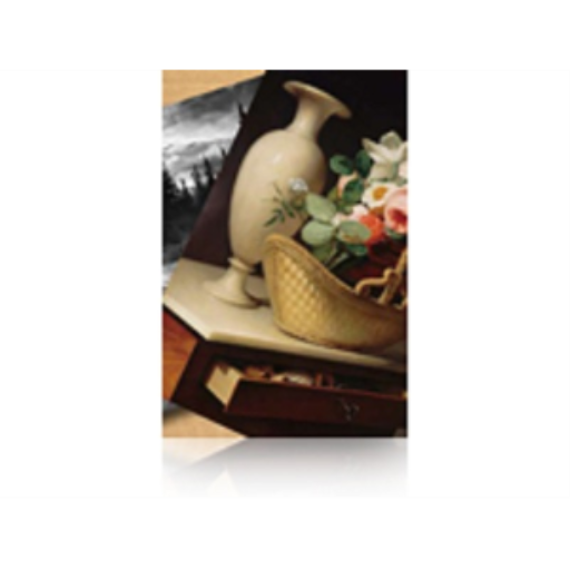 Rouleau de papier photo Epson Premium Luster (260) 60" x 100'