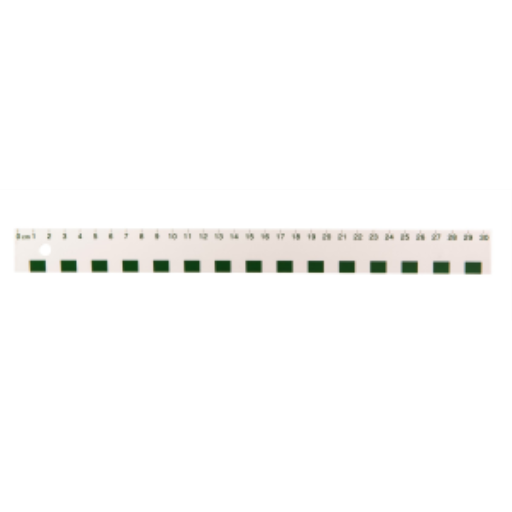 30cm White Plastic Ruler /
Règle blanche en plastique de 30 cm