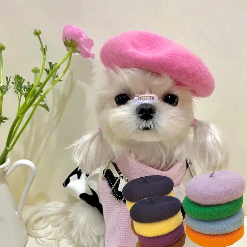 Béret Chien | Béret Paris pour Chien
