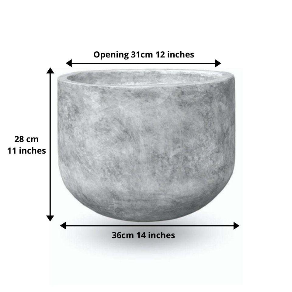 Jardinière Berto Ciment 38 cm