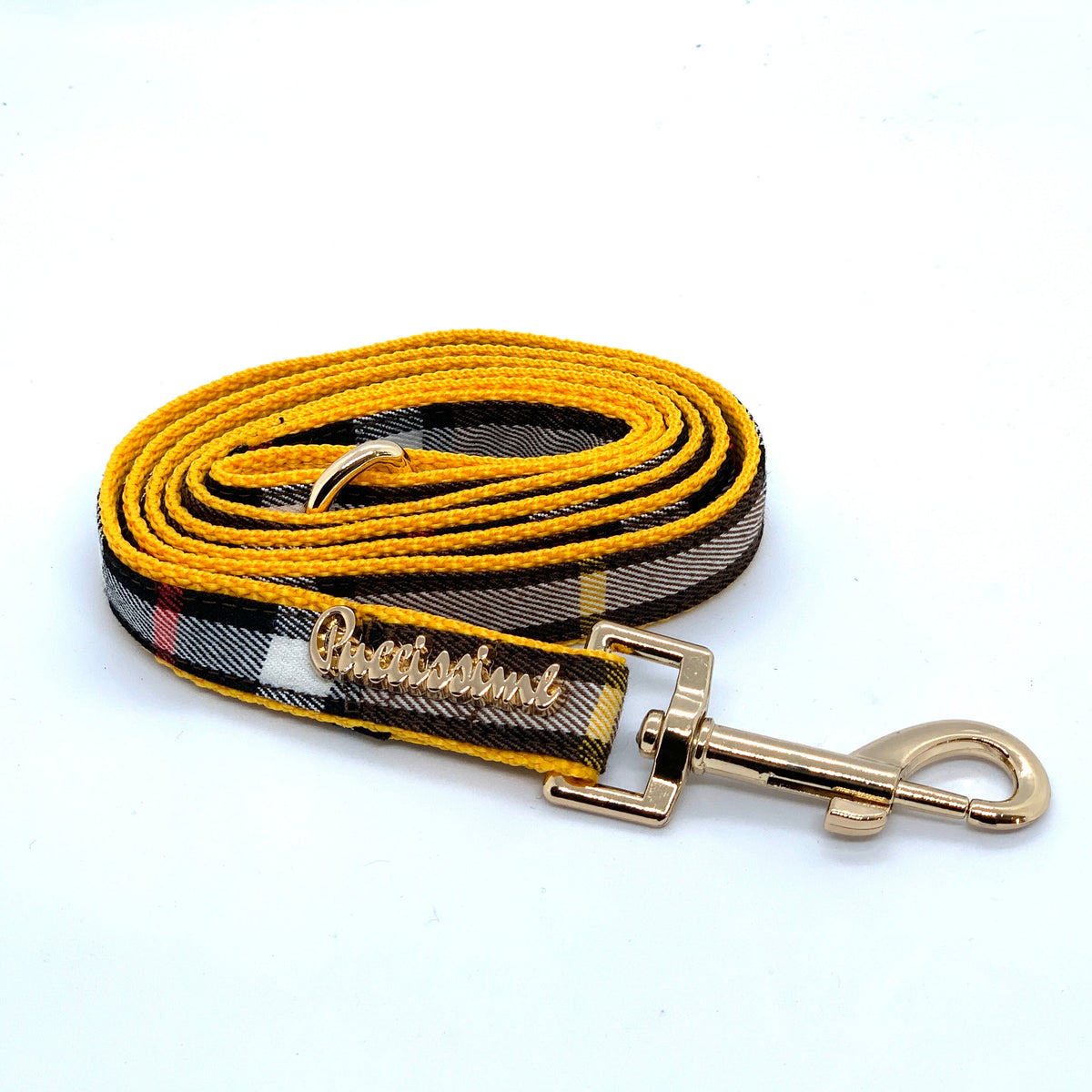 Collier médaillon pour chien