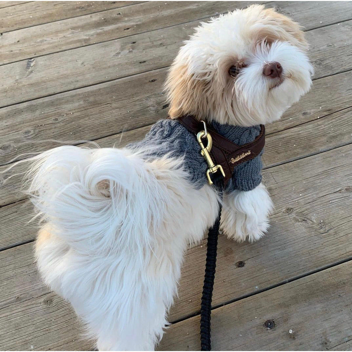 Harnais pour chien Grizzly One-Click