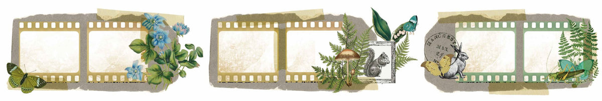 Ruban adhésif PET découpé « Filmstrip Kiss-Cut » Hidden Creek de Arden Creative Studio