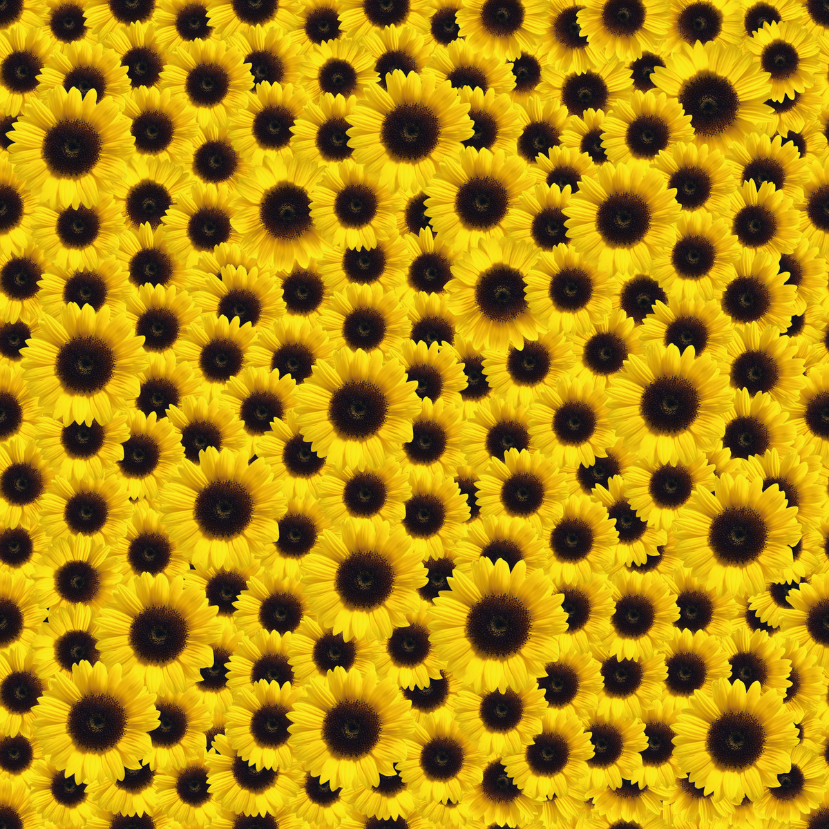 Vinyle de transfert à chaud HTV Craft, motif tournesol jaune SUNTATIC