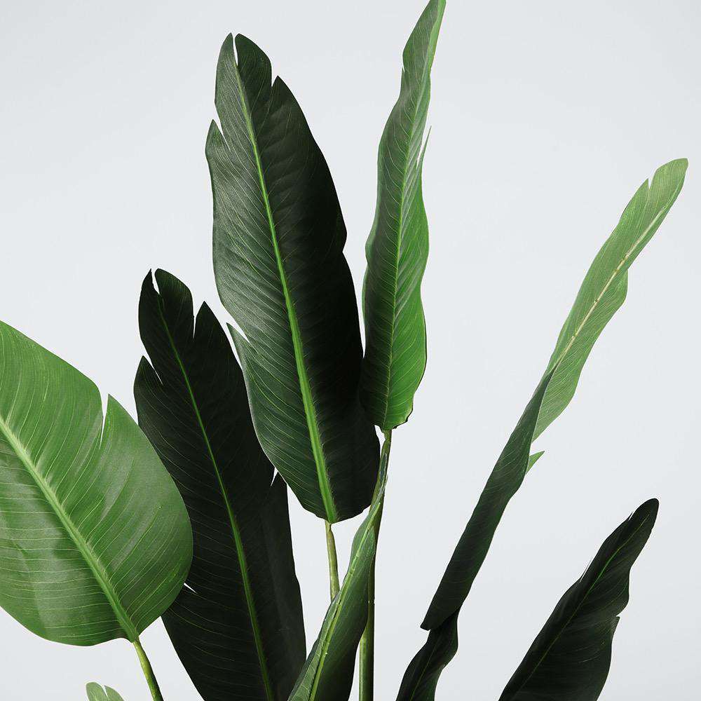 Plante en pot Zapo Oiseau de Paradis Artificiel (Plusieurs Tailles)