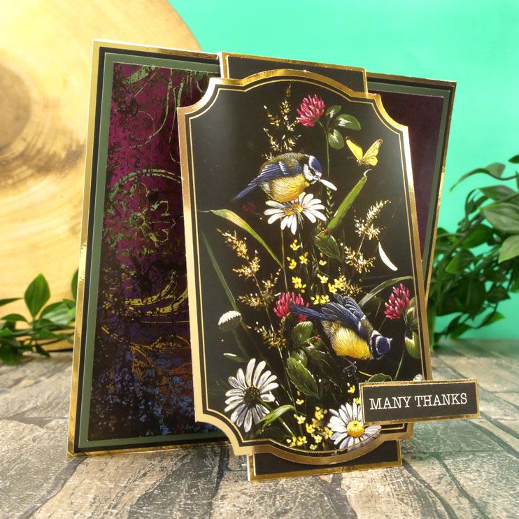 Livre de Toppers - Jardin de minuit