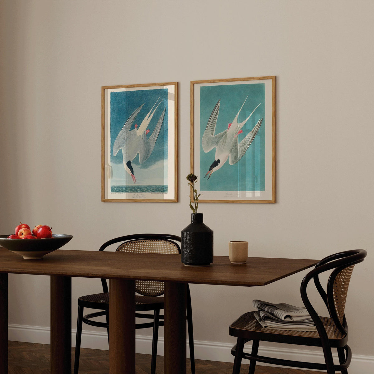 J. J. Audubon STATEMENT DUO Bird Prints - Greater Tern | | available framed