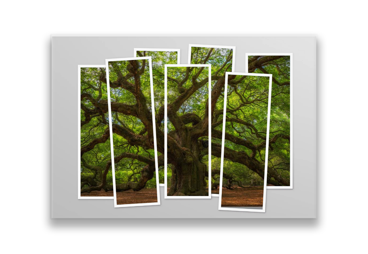 Image fractionnée 36X24 (5)