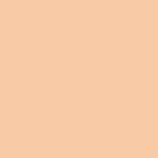 Siser Light Apricot Easyweed 10 Yard Roll