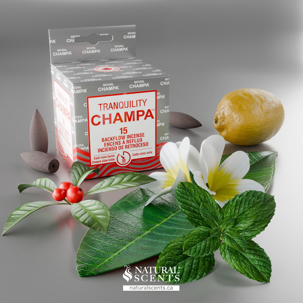 Tranquility Champa Backflow Incense Cones