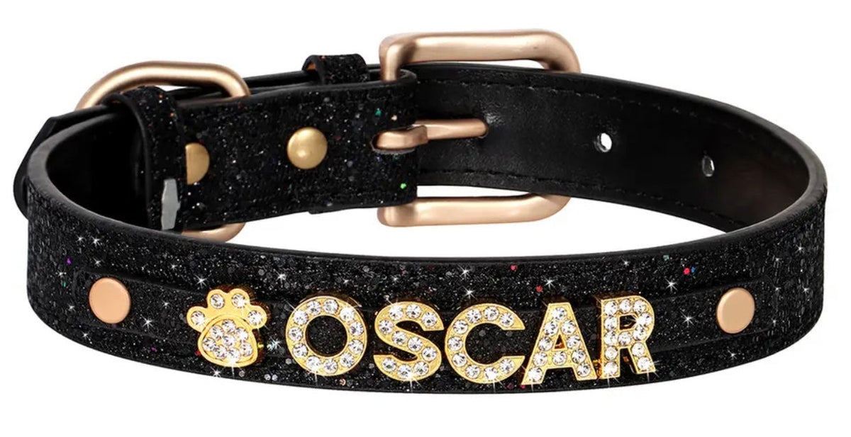 Onyx Crown Name Dog Collar | Customized Dog Collar