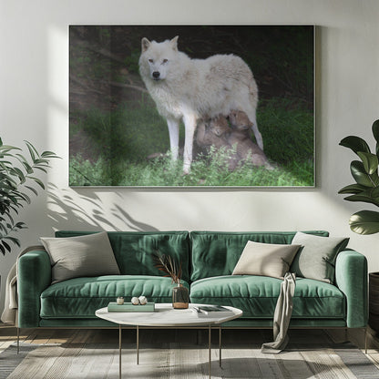 Décoration murale Loups arctiques - Remus et Romulus