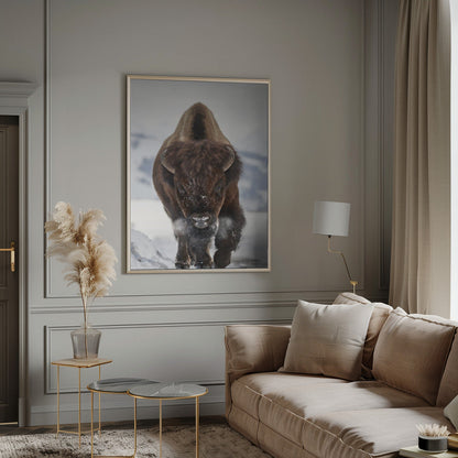 Décoration murale Bison En approche