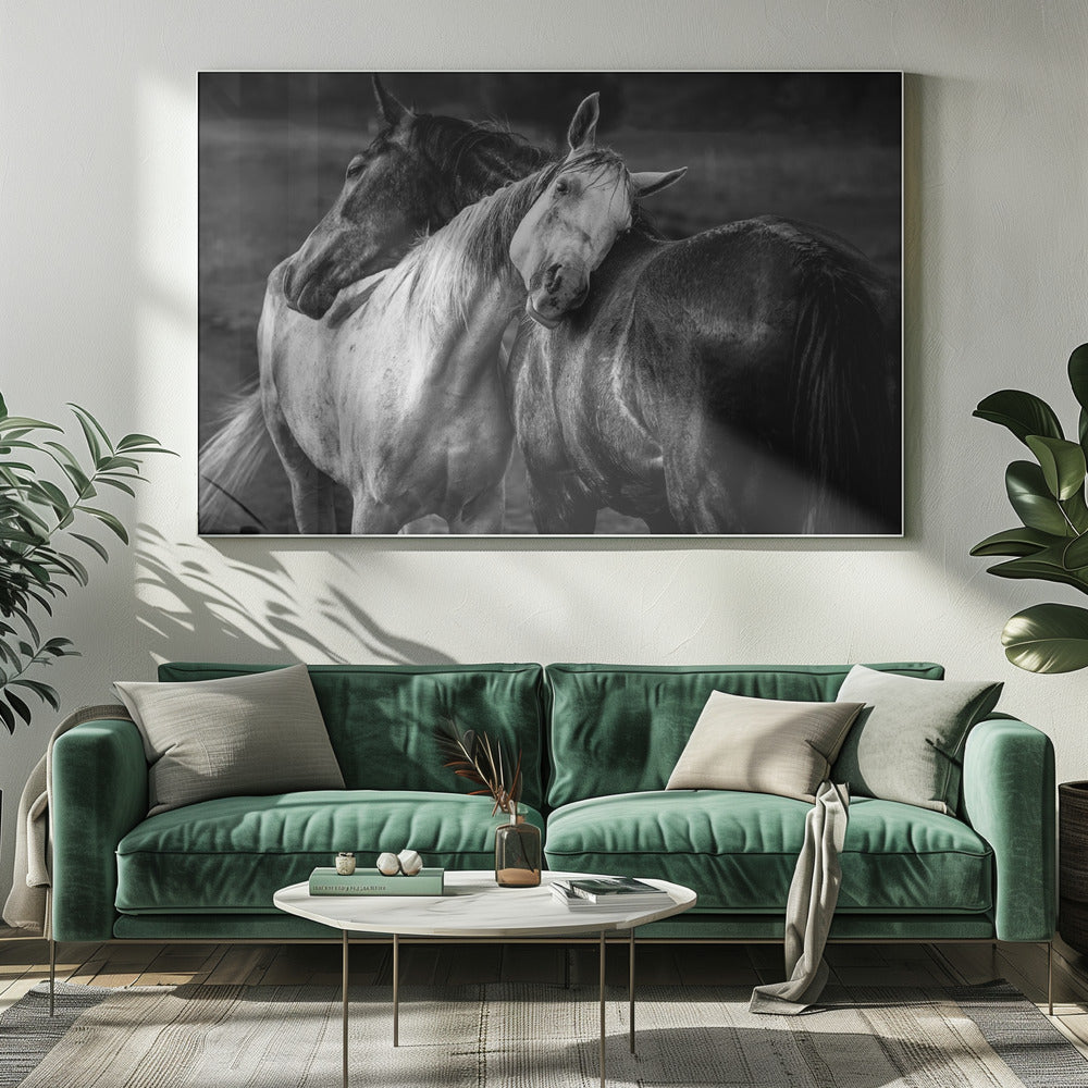 Impression sur toile Chevaux sous la pluie chaude