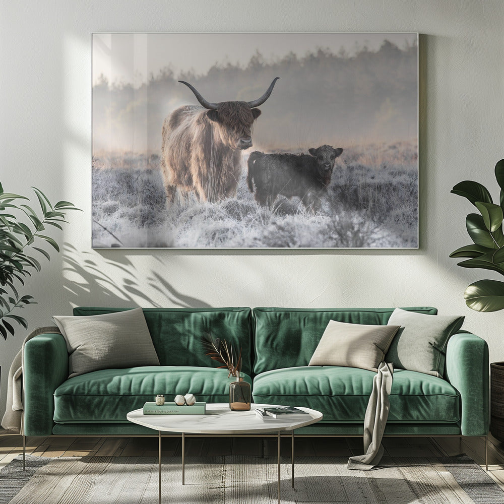 Décoration murale Highlander et veau