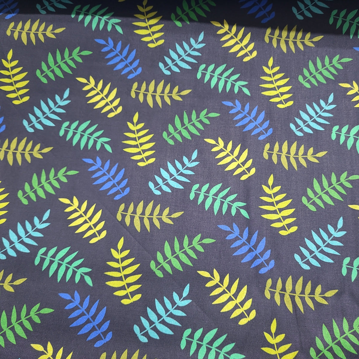 Robert Kaufman- Alphabetosaurus- 20739-2-Noir