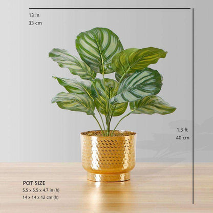 Calathea artificielle en pot