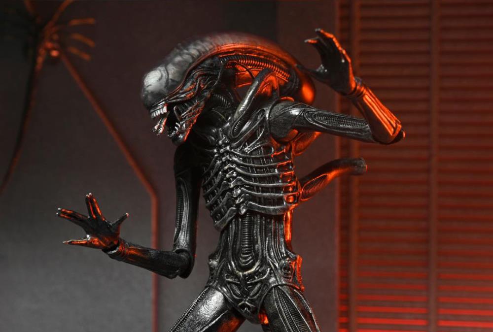 Alien: Romulus Xénomorphe ultime XX121