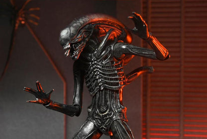 Alien: Romulus Xénomorphe ultime XX121