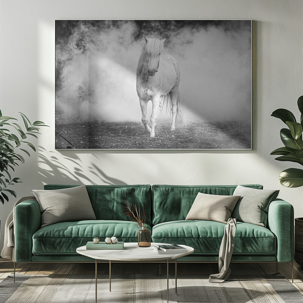 Art mural : poney islandais