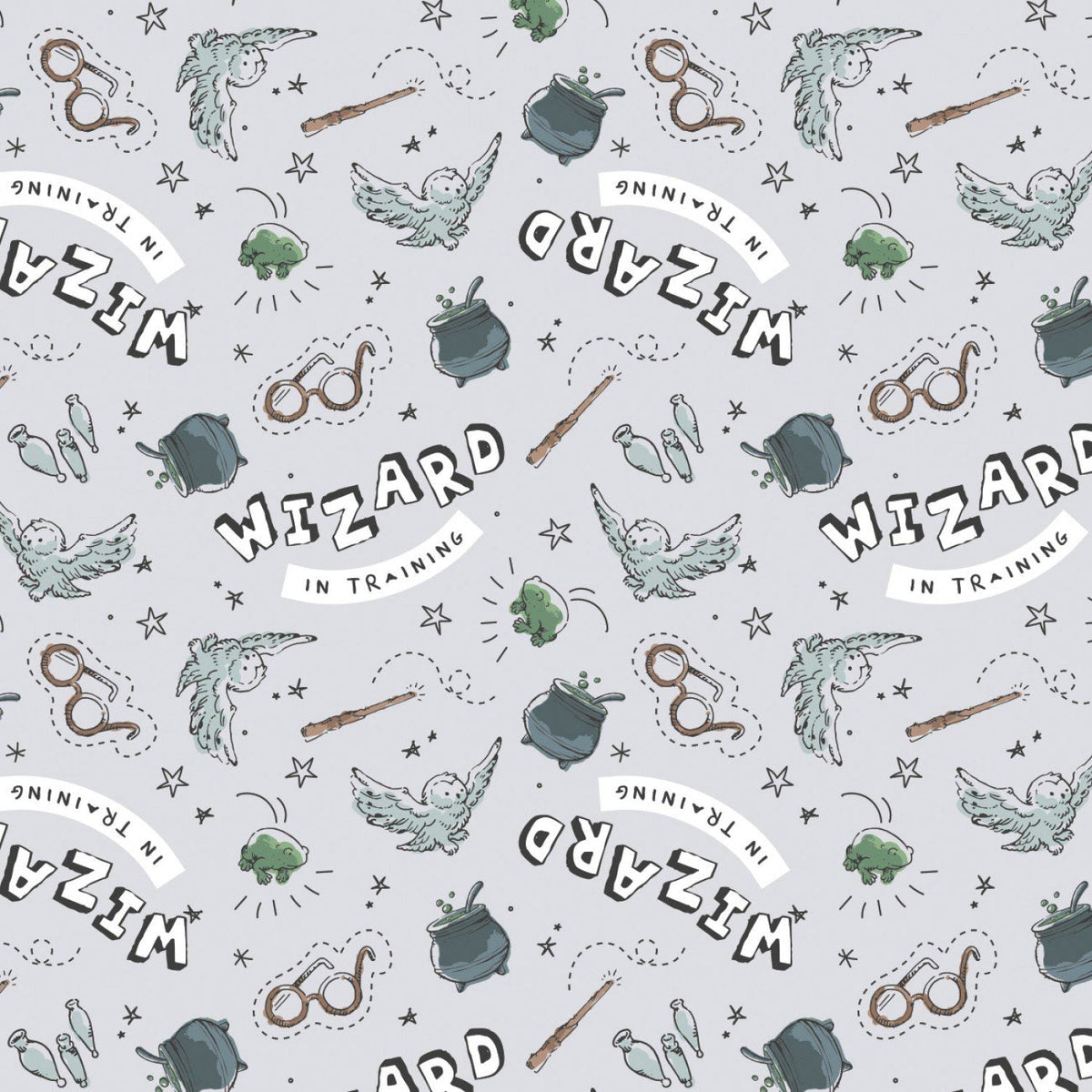 Camelot - Harry Potter - Wizard in Training - Grey