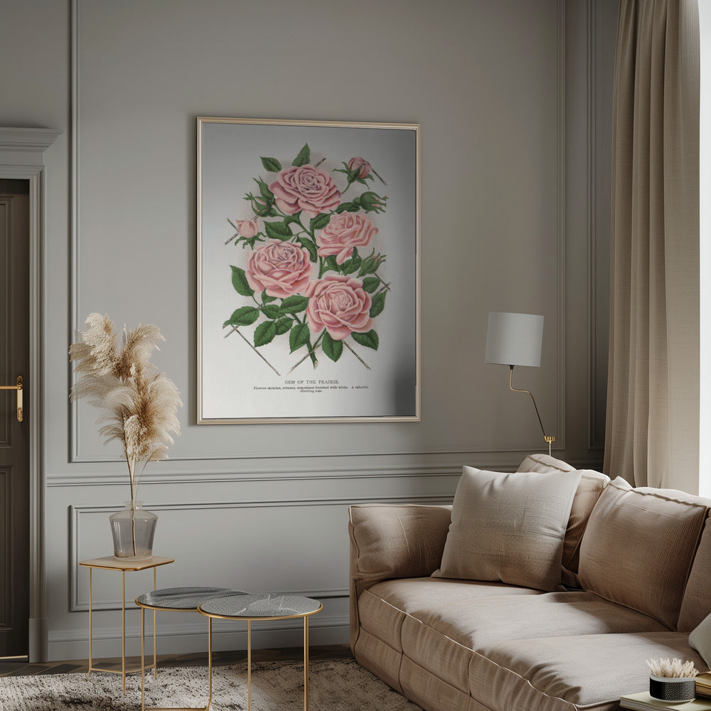 Art Mural Rose Rose, Lithographie Gemme de la Prairie