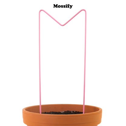 "M" Metal Trellis