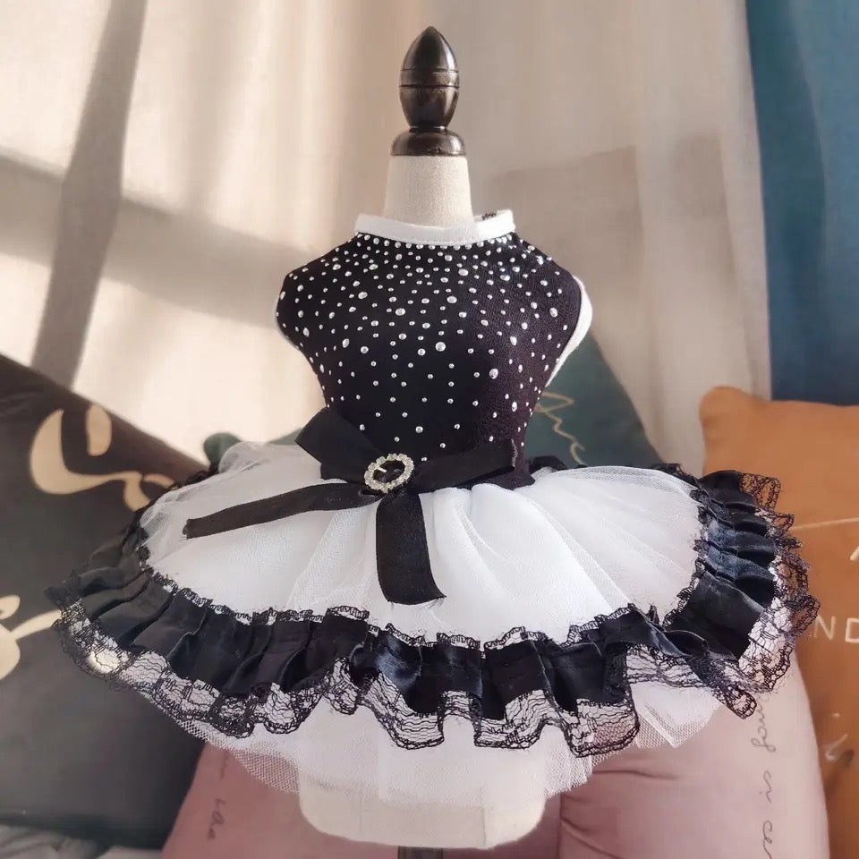 Robe pour chien Amani Tutu