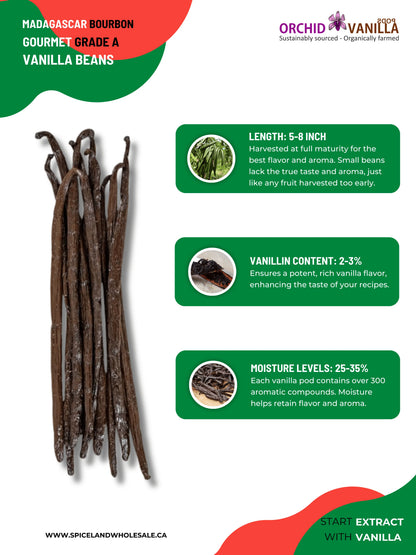 Madagascar Bourbon Vanilla Beans Gourmet Grade-A <br>For Extract And Baking<BR>By Ounce