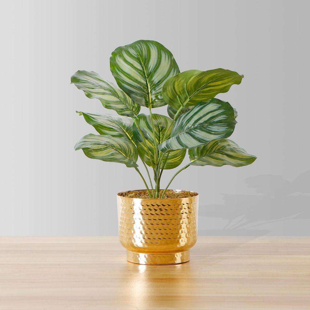 Calathea artificielle en pot