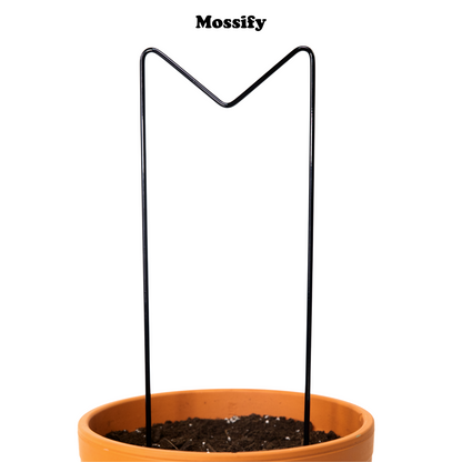"M" Metal Trellis