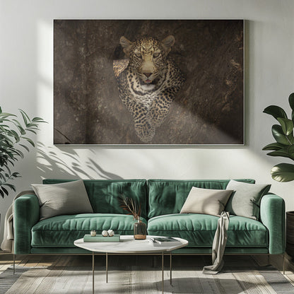 Art mural Léopard se reposant sur un arbre au Masai Mara