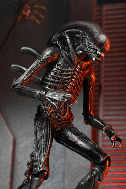 Alien: Romulus Xénomorphe ultime XX121