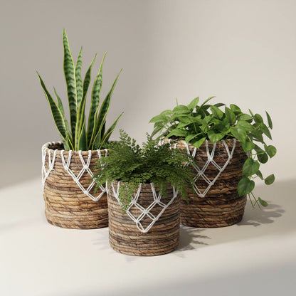 Banana Leaf & Macrame Apex Planter Basket
