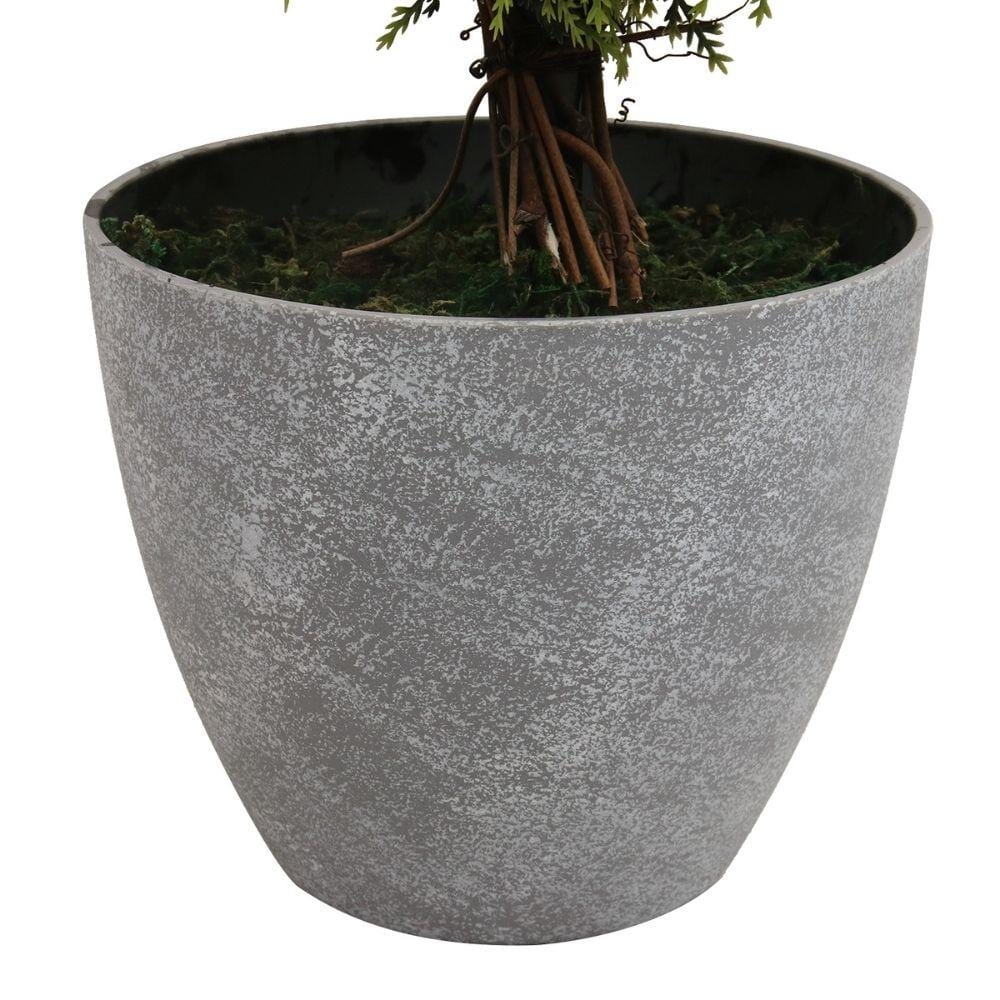 Buis topiaire en pot Jacob (plusieurs tailles)