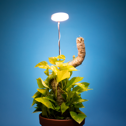 28" Adjustable LED Plant Light