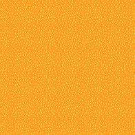 Point Orange Basique Quilters