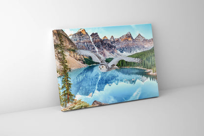 Toile d'art animalier - Harfang des neiges à Banff - Œuvre imprimée