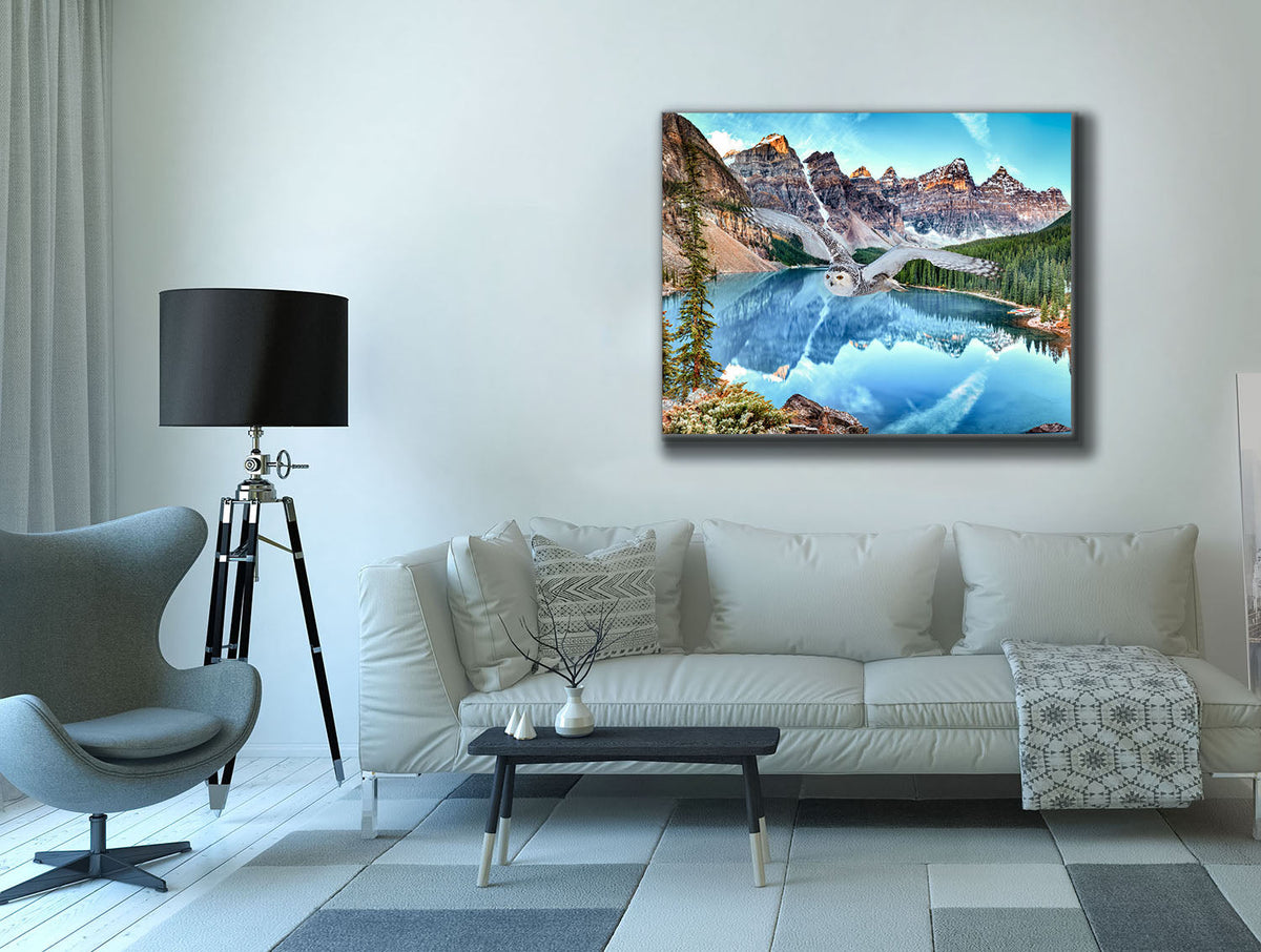 Toile d'art animalier - Harfang des neiges à Banff - Œuvre imprimée
