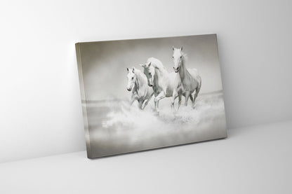 Art mural Étalons noirs et blancs - Toile imprimée animale