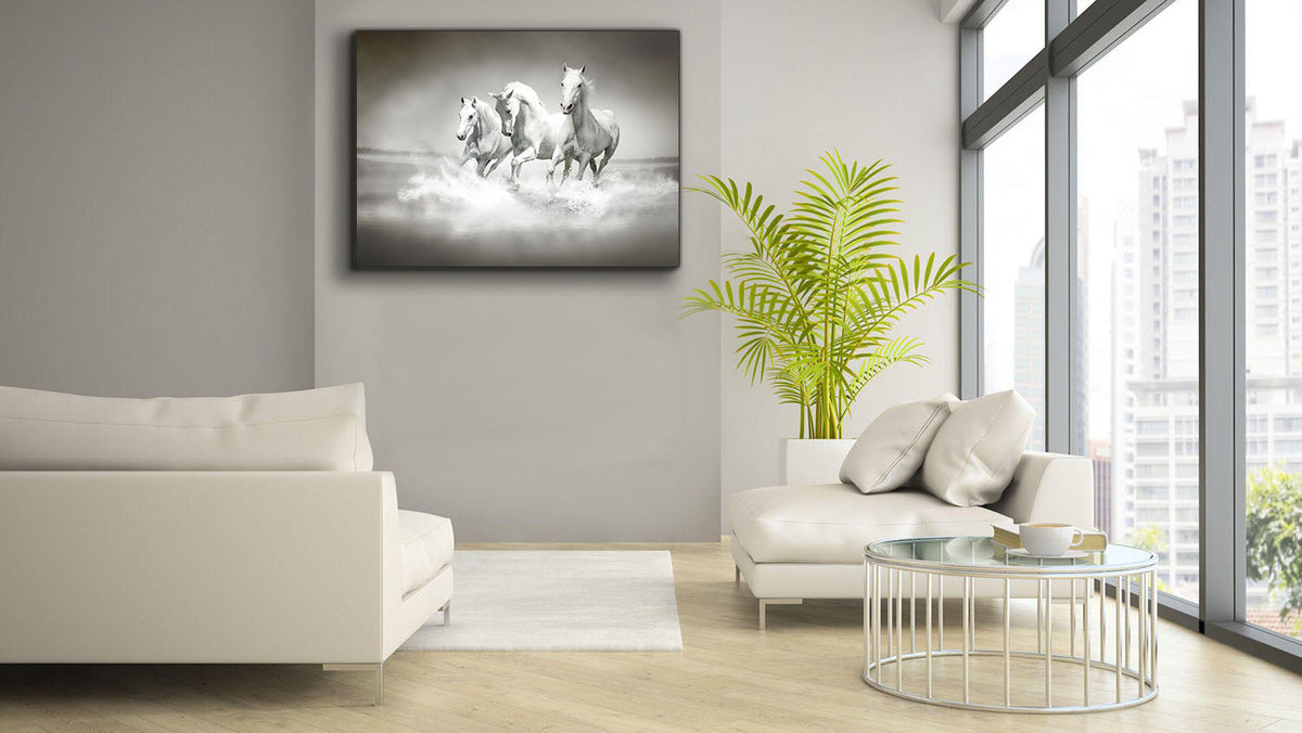 Art mural Étalons noirs et blancs - Toile imprimée animale