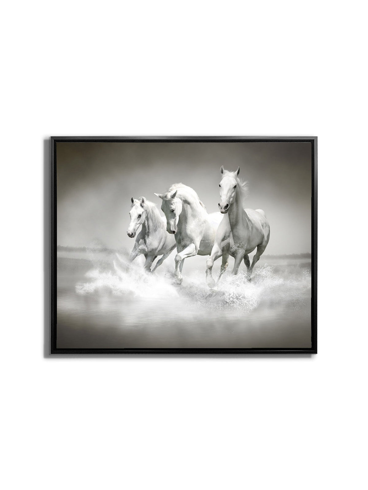 Art mural Étalons noirs et blancs - Toile imprimée animale