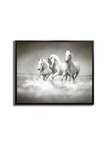 Art mural Étalons noirs et blancs - Toile imprimée animale