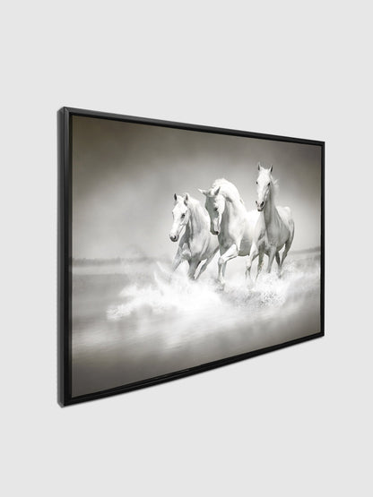 Art mural Étalons noirs et blancs - Toile imprimée animale