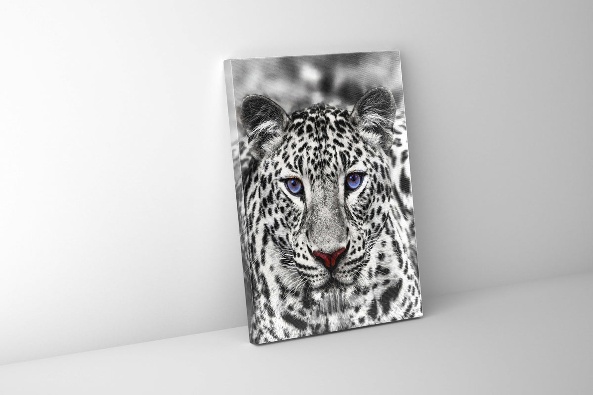 Décoration murale-Tigre blanc aux yeux bleus- Décoration sur le thème de la faune et la flore