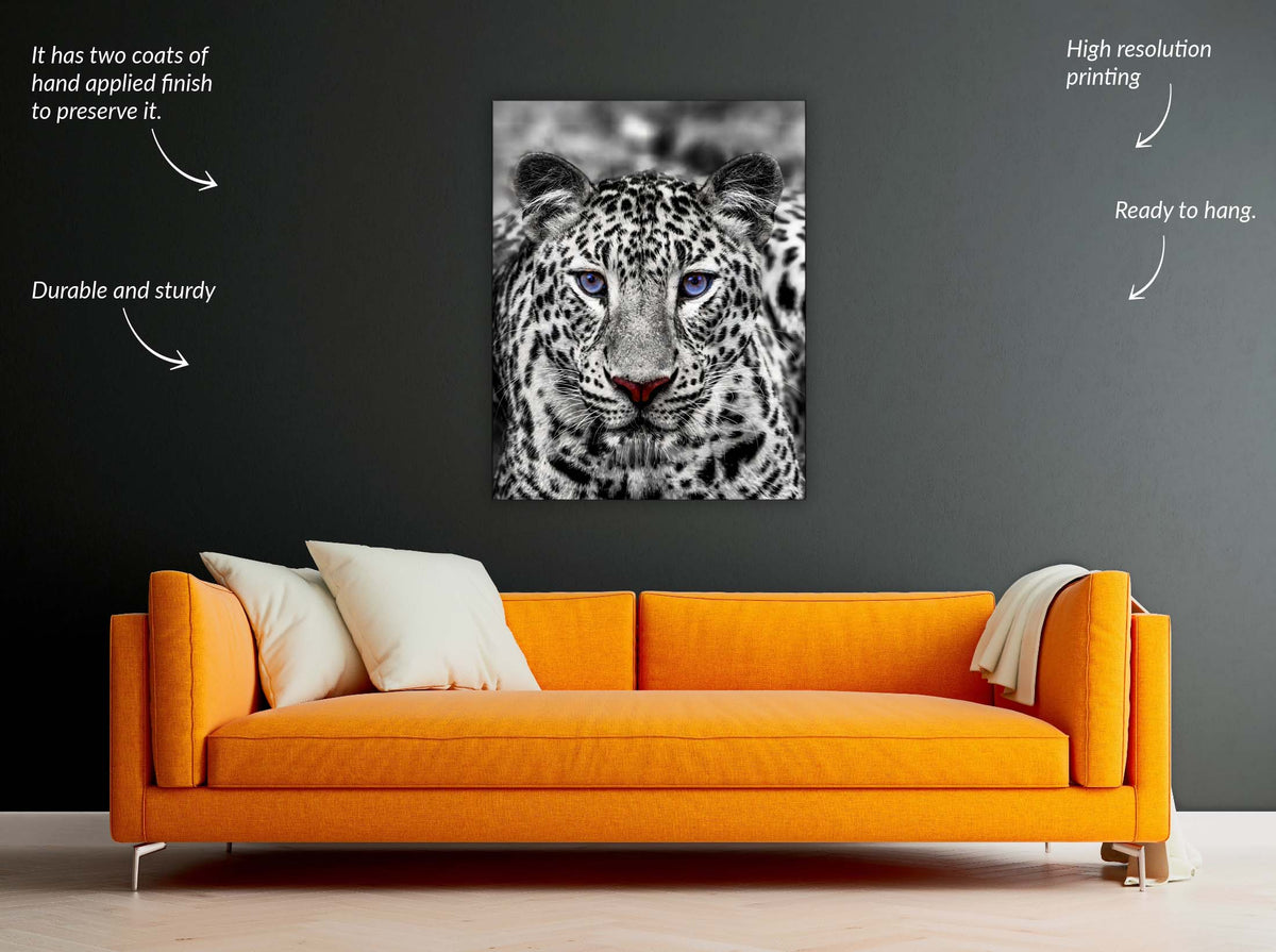 Décoration murale-Tigre blanc aux yeux bleus- Décoration sur le thème de la faune et la flore