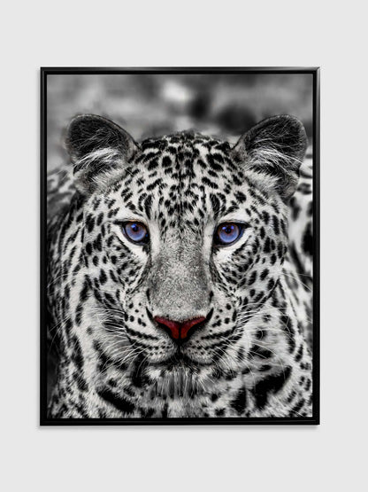Décoration murale-Tigre blanc aux yeux bleus- Décoration sur le thème de la faune et la flore