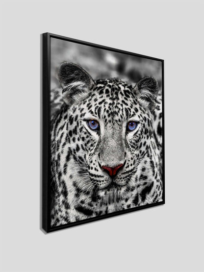 Décoration murale-Tigre blanc aux yeux bleus- Décoration sur le thème de la faune et la flore