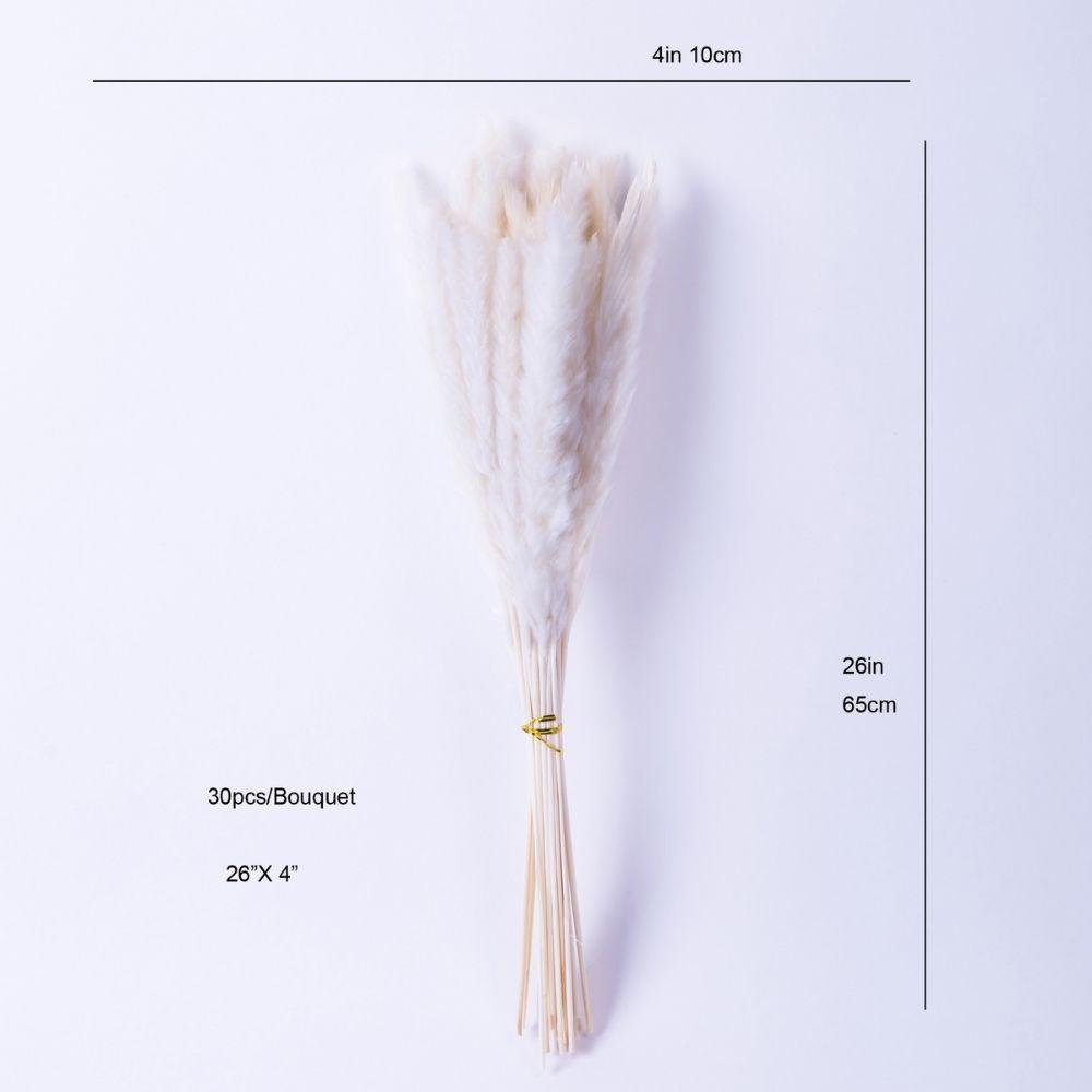 Grand bouquet de pampa beige 66 cm (lot de 30)