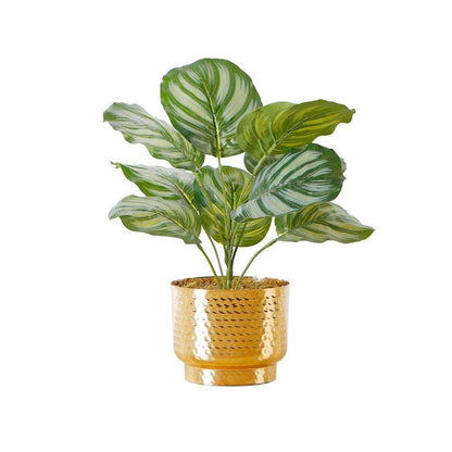 Calathea artificielle en pot